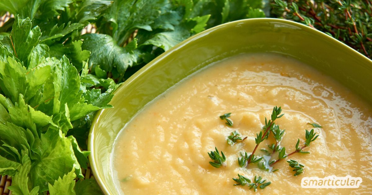 Einfacher als in einer würzigen Selleriesuppe kannst du das gesunde Wurzelgemüse kaum genießen – lecker cremig und voller Vitalstoffe.