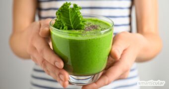 Ein Grünkohl-Smoothie ist der perfekte Powerdrink für kalte Tage. Entdecke ein einfaches Rezept mit weiteren saisonalen Zutaten.