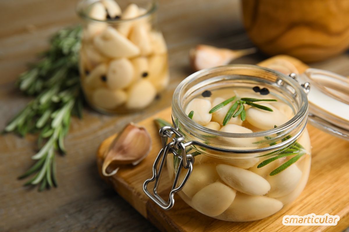 Knoblauch fermentieren
