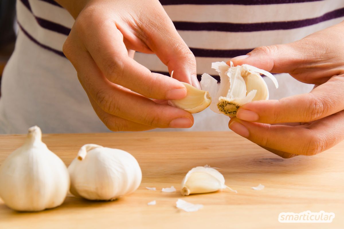 knoblauch-fermentieren-rezept-2 Fermentierter Knoblauch ist milder, bekömmlicher und unglaublich aromatisch - mit diesem Rezept kannst du ihn ganz einfach selber machen.