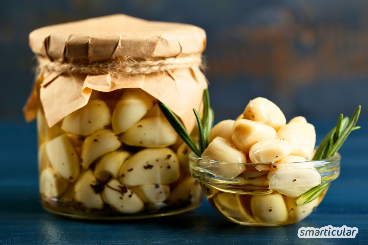 knoblauch-fermentieren-rezept-3 Fermentierter Knoblauch ist milder, bekömmlicher und unglaublich aromatisch - mit diesem Rezept kannst du ihn ganz einfach selber machen.