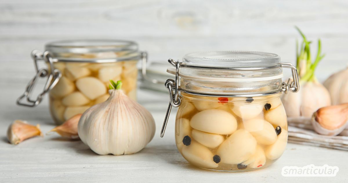 Fermentierter Knoblauch ist milder, bekömmlicher und unglaublich aromatisch - mit diesem Rezept kannst du ihn ganz einfach selber machen.
