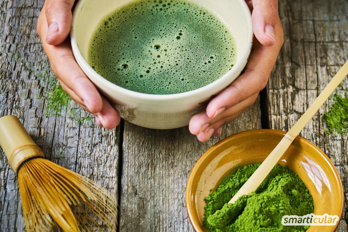 Mehr als Kaffee-Ersatz: Erfahre, warum bei Matcha Bio Pflicht ist und wie du das grüne Pulver kulinarisch und im Bad optimal nutzt.