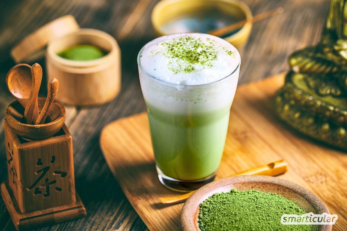 Mehr als Kaffee-Ersatz: Erfahre, warum bei Matcha Bio Pflicht ist und wie du das grüne Pulver kulinarisch und im Bad optimal nutzt.