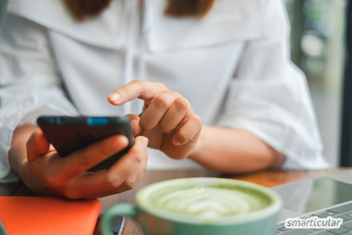 Mehr als Kaffee-Ersatz: Erfahre, warum bei Matcha Bio Pflicht ist und wie du das grüne Pulver kulinarisch und im Bad optimal nutzt.