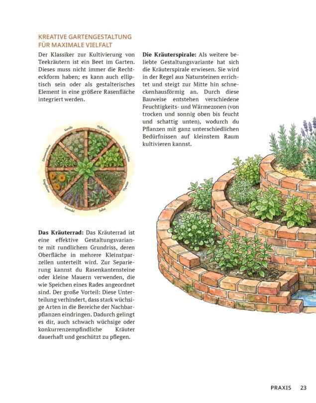 Die Tee-Apotheke (Leseprobe)