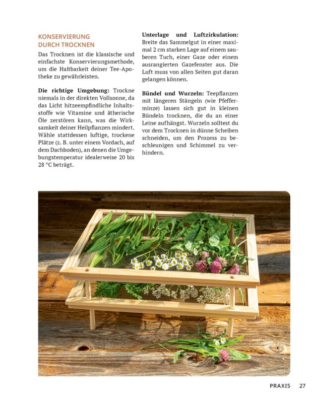 Die Tee-Apotheke (Leseprobe)