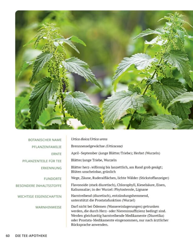 Die Tee-Apotheke (Leseprobe)