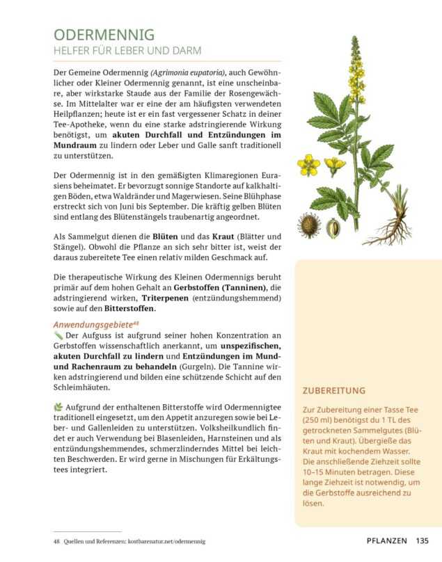 Die Tee-Apotheke (Leseprobe)