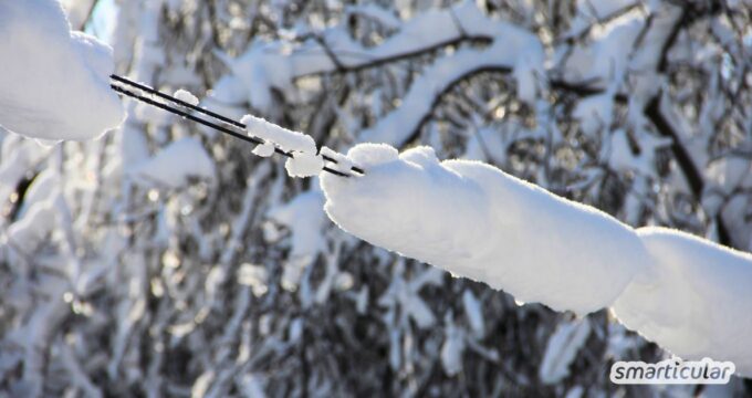 Stromausfall? Mit einfachen Maßnahmen bleibst du ruhig und handlungsfähig. Tipps zu Vorrat, Kochen, Licht, Sicherheit und Resilienz.