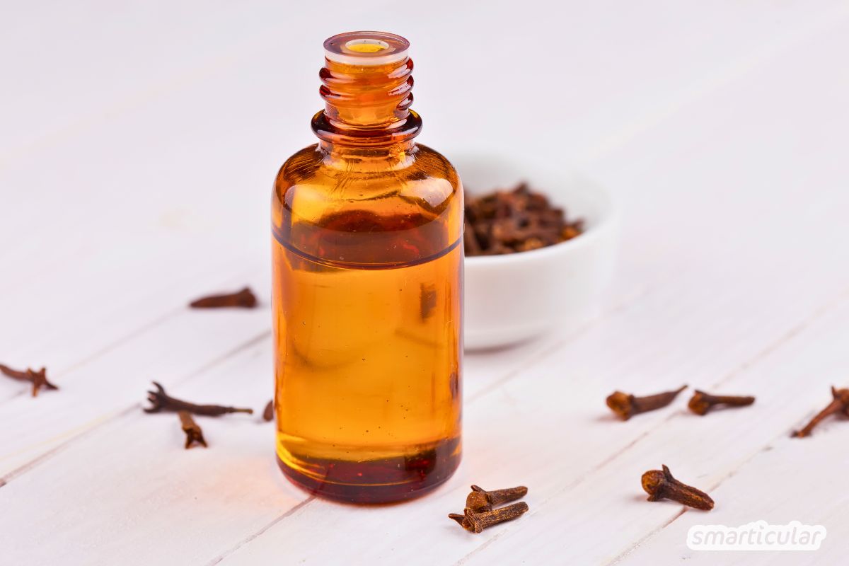 Nelkenöl einfach selber machen: Anleitung und Tipps, wie sich das heilsame Mazerat bei Zahnproblemen, Insektenstichen und unreiner Haut verwenden lässt.