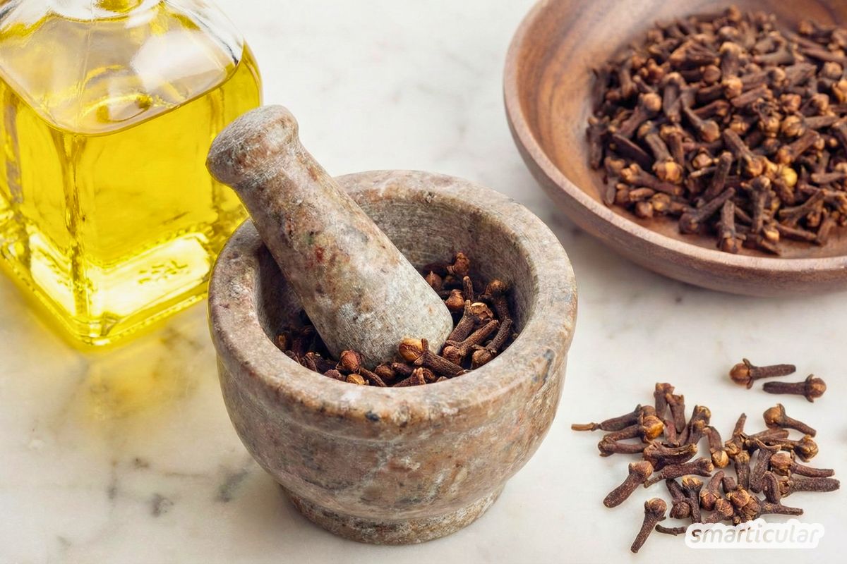 Nelkenöl einfach selber machen: Anleitung und Tipps, wie sich das heilsame Mazerat bei Zahnproblemen, Insektenstichen und unreiner Haut verwenden lässt.