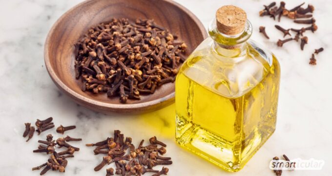 Nelkenöl einfach selber machen: Anleitung und Tipps, wie sich das heilsame Mazerat bei Zahnproblemen, Insektenstichen und unreiner Haut verwenden lässt.