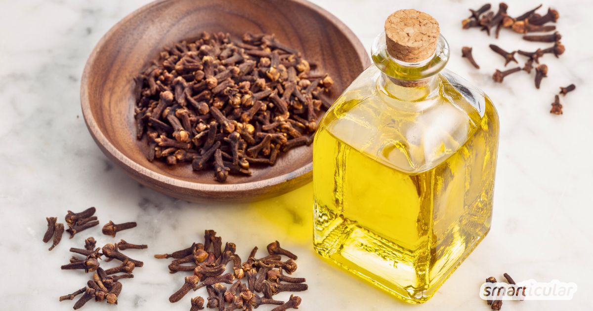 Nelkenöl einfach selber machen: Anleitung und Tipps, wie sich das heilsame Mazerat bei Zahnproblemen, Insektenstichen und unreiner Haut verwenden lässt.