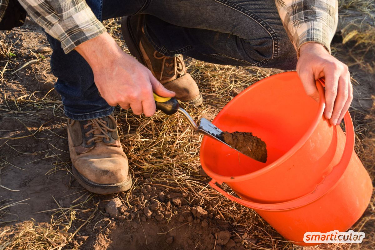 Bodenanalyse im Garten leicht gemacht: Bestimme den pH-Wert deiner Erde mit Essig und Natron. Schnell und ohne teure Teststreifen!