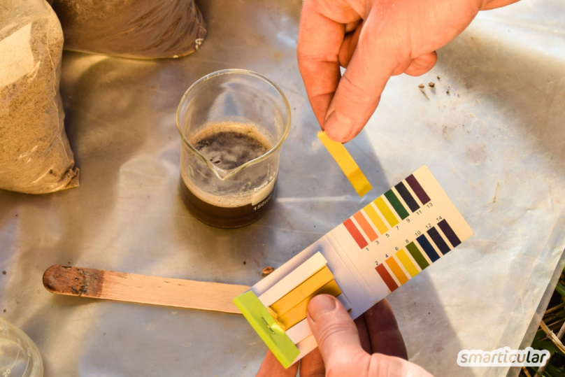 Bodenanalyse im Garten leicht gemacht: Bestimme den pH-Wert deiner Erde mit Essig und Natron. Schnell und ohne teure Teststreifen!