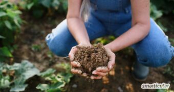 Bodenanalyse im Garten leicht gemacht: Bestimme den pH-Wert deiner Erde mit Essig und Natron. Schnell und ohne teure Teststreifen!