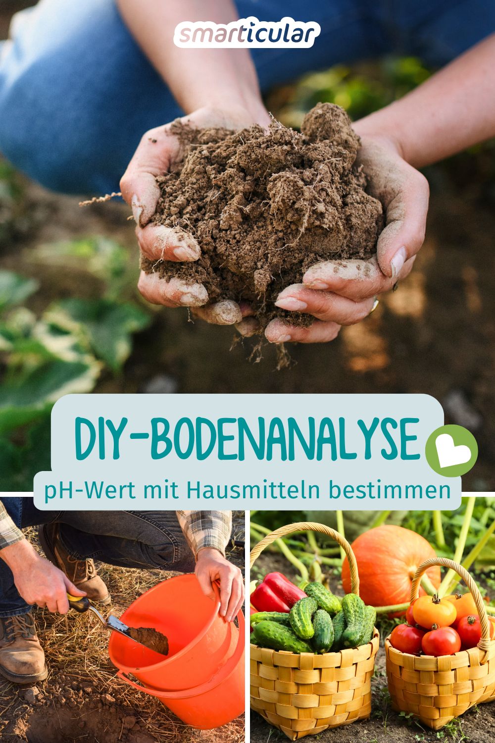 Bodenanalyse im Garten leicht gemacht: Bestimme den pH-Wert deiner Erde mit Essig und Natron. Schnell und ohne teure Teststreifen!