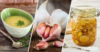 Knoblauch gesund nutzen: Alles zu Allicin, Inulin, dem 10-Minuten-Trick, richtiger Lagerung und Rezepten für Küche und Hausapotheke.