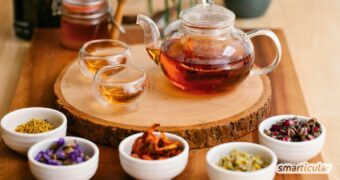 Von Entspannung bis Verdauungshilfe: Entdecke die Kraft heimischer Heiltees und welcher Tee bei welchen Wehwehchen wirklich hilft.