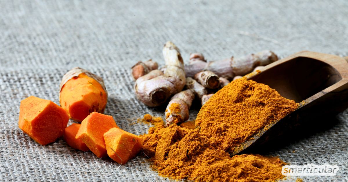 Kurkuma ist vielseitig, aromatisch und passt zu vielen Gerichten. Erfahre, wie du das goldene Gewürz verwendest und wofür es gut ist.