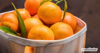 Mandarinenöl hebt die Stimmung, beruhigt und unterstützt die Verdauung. Erfahre, wie du das ätherische Öl sicher anwendest.