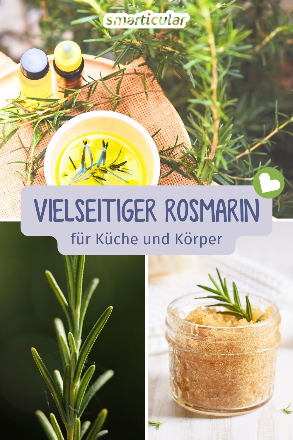 Rosmarin ist mehr als ein Küchenkraut: Erfahre, wie du ihn für Verdauung, Wohlbefinden, Haarpflege und Rezepte nutzen kannst.