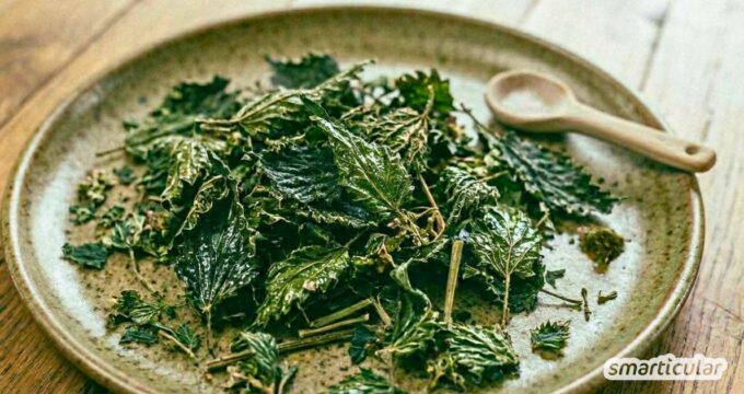 Knusprige Brennnessel-Chips aus dem Garten: So einfach verwandelst du das heimische Superfood in einen gesunden und (fast) kostenlosen Snack.