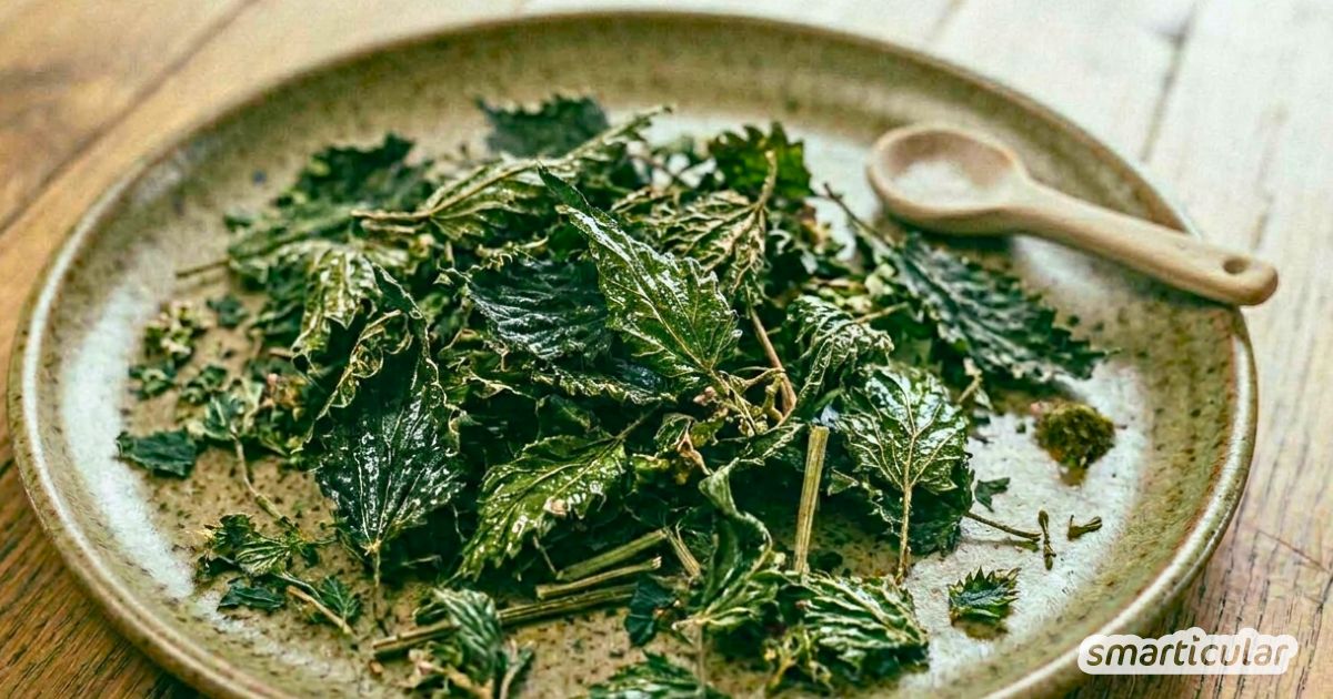 Knusprige Brennnessel-Chips aus dem Garten: So einfach verwandelst du das heimische Superfood in einen gesunden und (fast) kostenlosen Snack.
