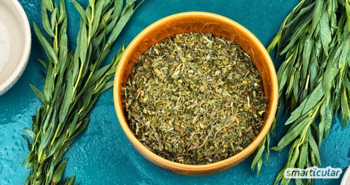 Estragon entdecken: Alles über die Verwendung und Dosierung des Drachenkrauts, vielseitige Rezepte sowie Tipps zum Anbau im Garten.