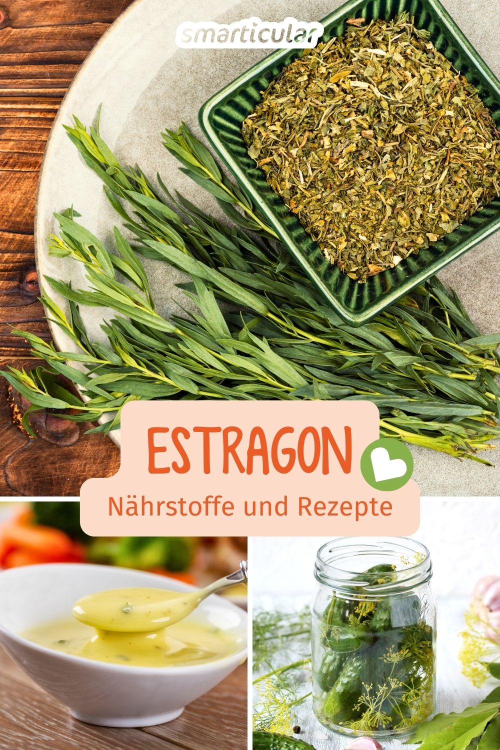 Estragon entdecken: Alles über die Verwendung und Dosierung des Drachenkrauts, vielseitige Rezepte sowie Tipps zum Anbau im Garten.