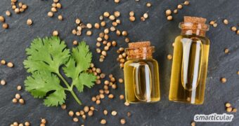 Koriander ist ein echtes Multitalent. So nutzt du die Pflanze in Küche und Hausapotheke - vom aromatischen Grün, über die Samen bis zum Öl.