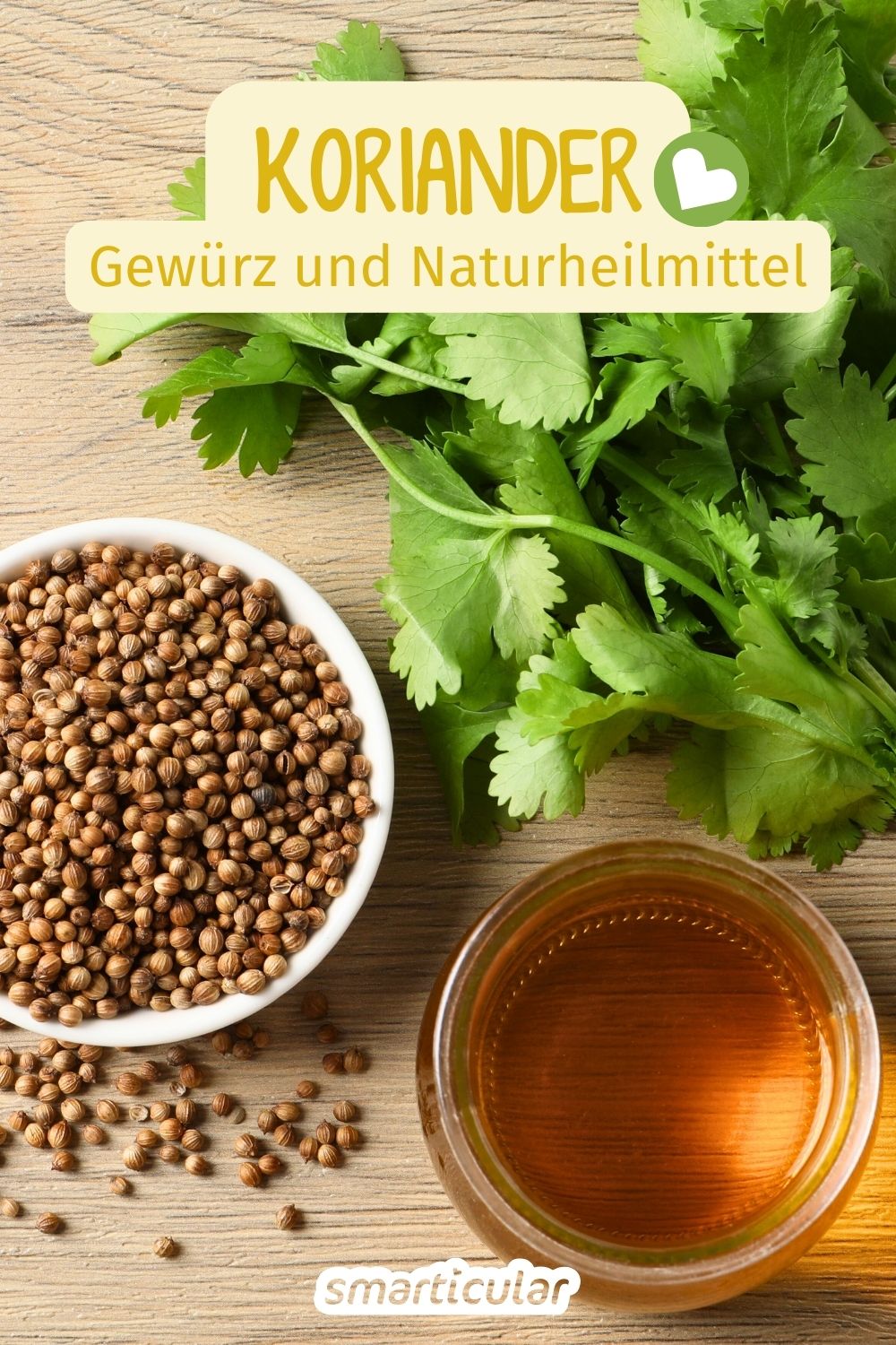 Koriander ist ein echtes Multitalent. So nutzt du die Pflanze in Küche und Hausapotheke - vom aromatischen Grün, über die Samen bis zum Öl.