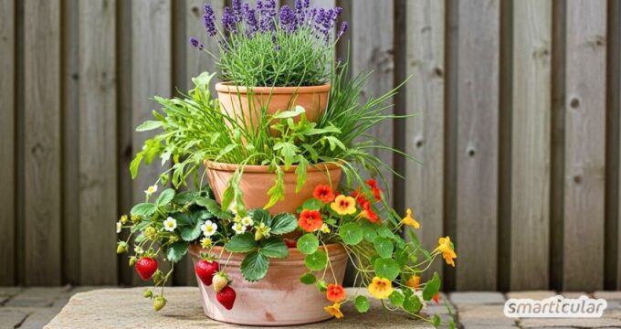 Unsere Schritt-für-Schritt-Anleitung zeigt dir, wie du ganz einfach einen Pflanzturm selber bauen kannst - perfekt für kleine Balkone und Co.