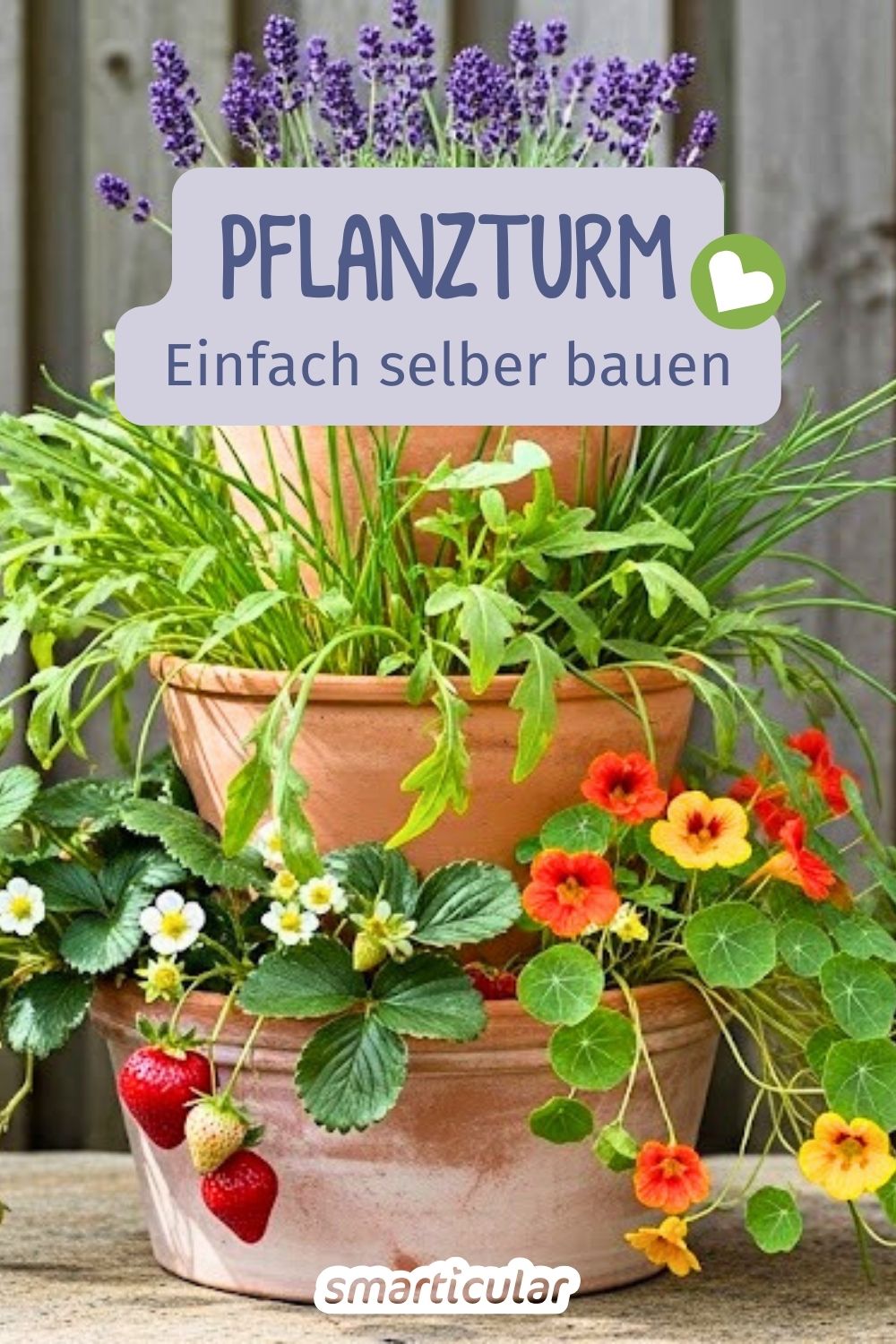 Unsere Schritt-für-Schritt-Anleitung zeigt dir, wie du ganz einfach einen Pflanzturm selber bauen kannst - perfekt für kleine Balkone und Co.