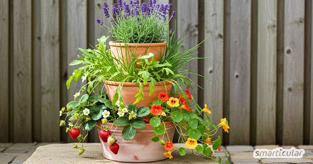 Unsere Schritt-für-Schritt-Anleitung zeigt dir, wie du ganz einfach einen Pflanzturm selber bauen kannst - perfekt für kleine Balkone und Co.
