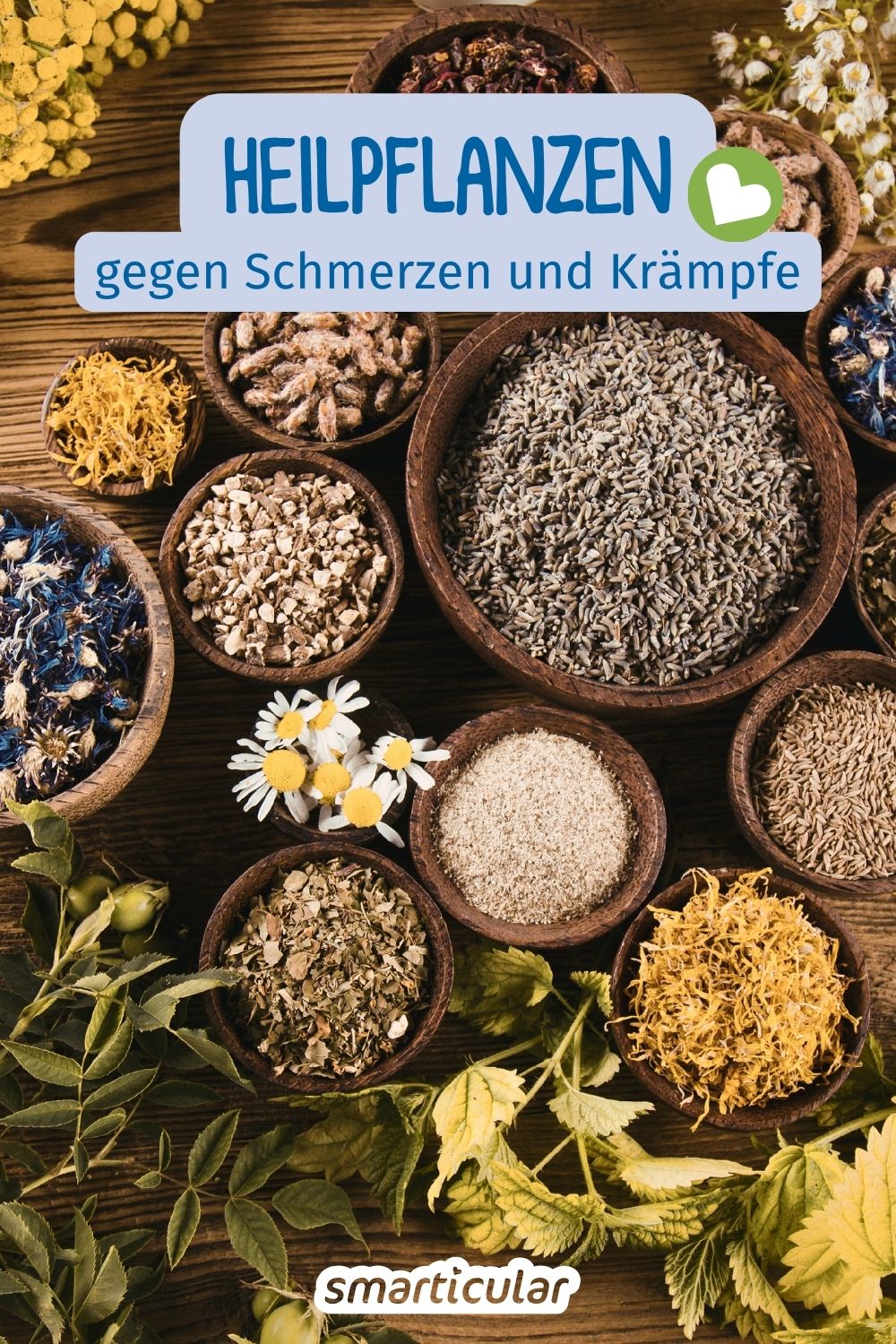 Kopfschmerzen, Rheuma oder Regelschmerzen natürlich behandeln. Entdecke wirksame Heilpflanzen als sanfte Alternative.