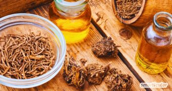 Ständig unter Strom? Diese 6 Heilpflanzen gegen Stress schenken dir sanft Ruhe und Entspannung – ganz ohne Chemie. Inklusive Rezepten!