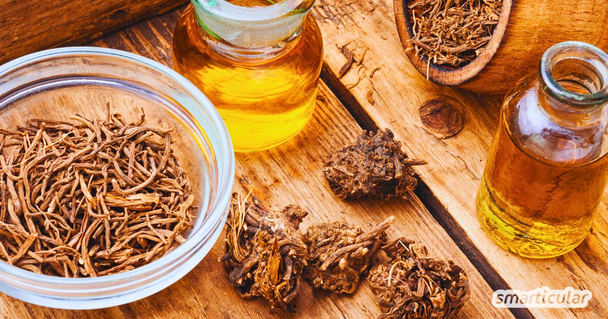 Ständig unter Strom? Diese 6 Heilpflanzen gegen Stress schenken dir sanft Ruhe und Entspannung – ganz ohne Chemie. Inklusive Rezepten!