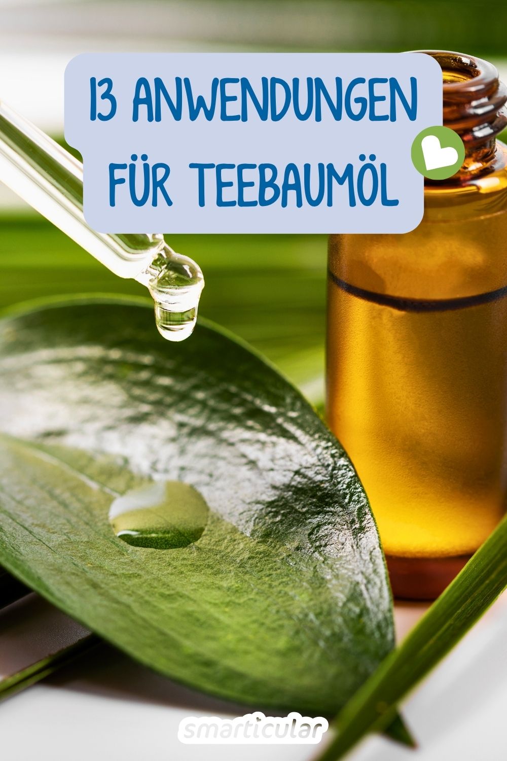 Teebaumöl wirkt antibakteriell und entzündungshemmend. Entdecke, wie du das Heilmittel für Hautpflege und Haushalt richtig nutzt.