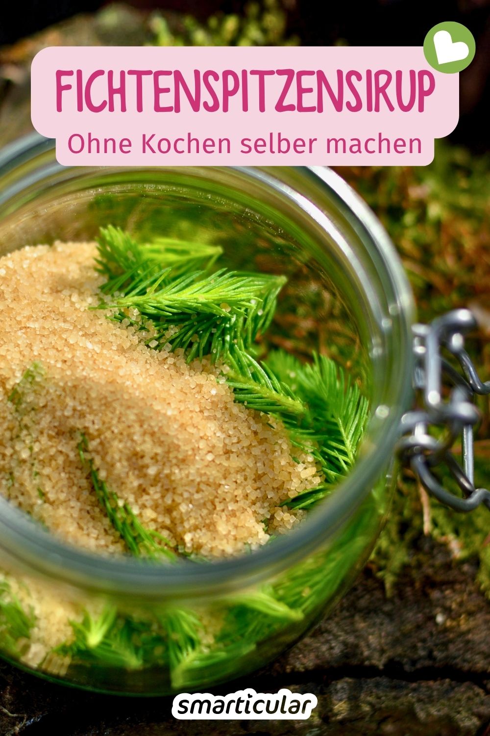 Heilsamer Fichtenspitzensirup gegen Husten: Schritt-für-Schritt-Anleitung für den Kaltauszug. Erfahre alles über Ernte, Wirkung & Anwendung.