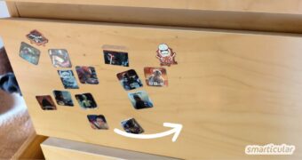 Du möchtest hartnäckige Klebereste von Holz entfernen? In diesem Beitrag erfährst du, welche Hausmittel am erfolgversprechendsten sind.