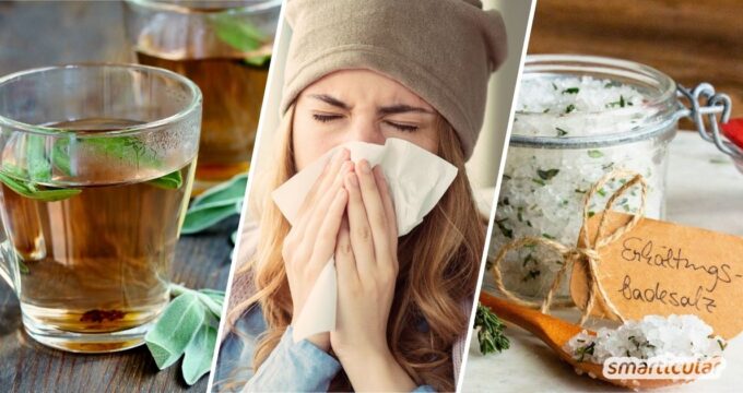 Entdecke die besten Kräuter gegen Erkältung! Erfahre, wie Salbei, Thymian & Co. dein Immunsystem natürlich stärken und Beschwerden lindern.