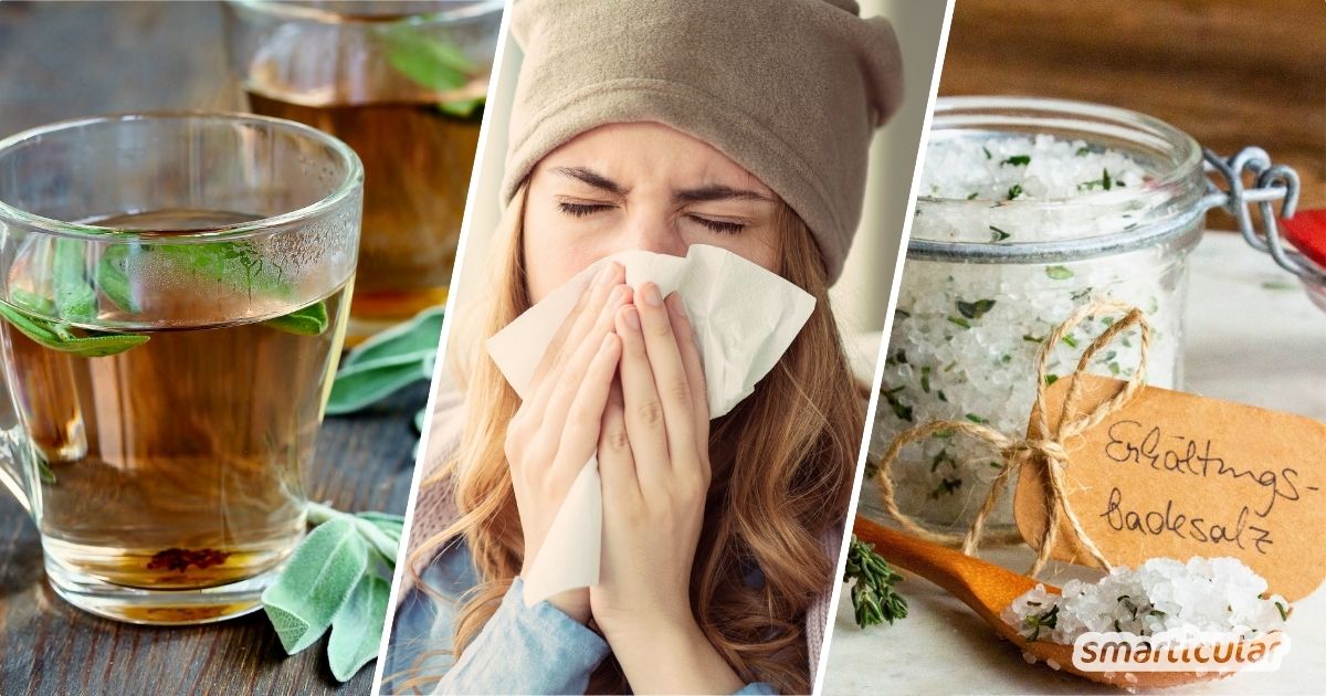 Entdecke die besten Kräuter gegen Erkältung! Erfahre, wie Salbei, Thymian & Co. dein Immunsystem natürlich stärken und Beschwerden lindern.