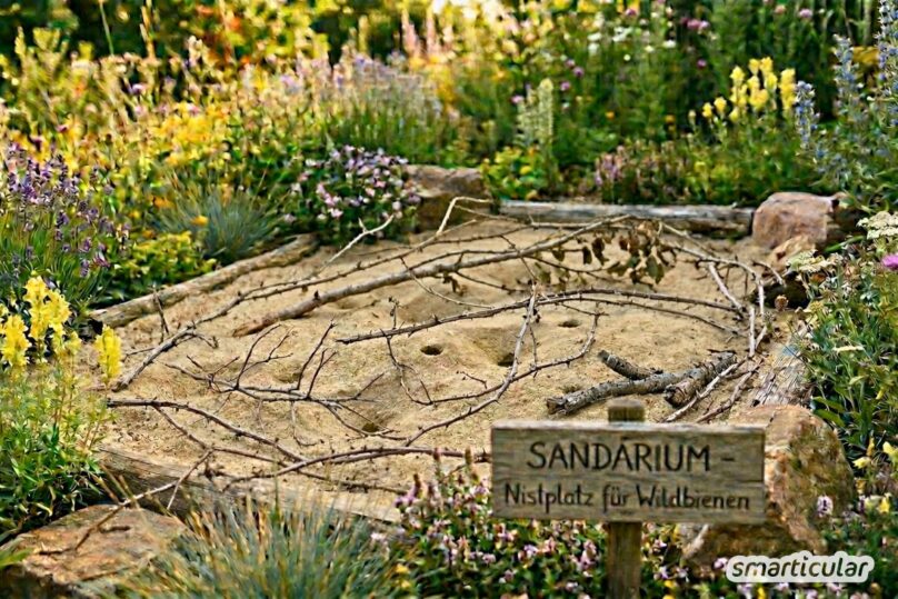75 % der heimischen Wildbienen nisten im Boden! Erfahre in diesem Beitrag, wie du ein eigenes Sandarium bauen und optimal gestalten kannst.