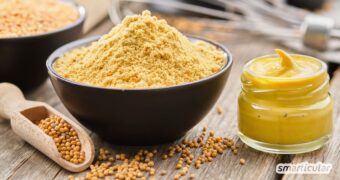 Senf ist ein vielseitiges Hausmittel der natürlichen Hausapotheke. Lerne bewährte Anwendungen bei Verspannungen, Erkältung und Co. kennen.