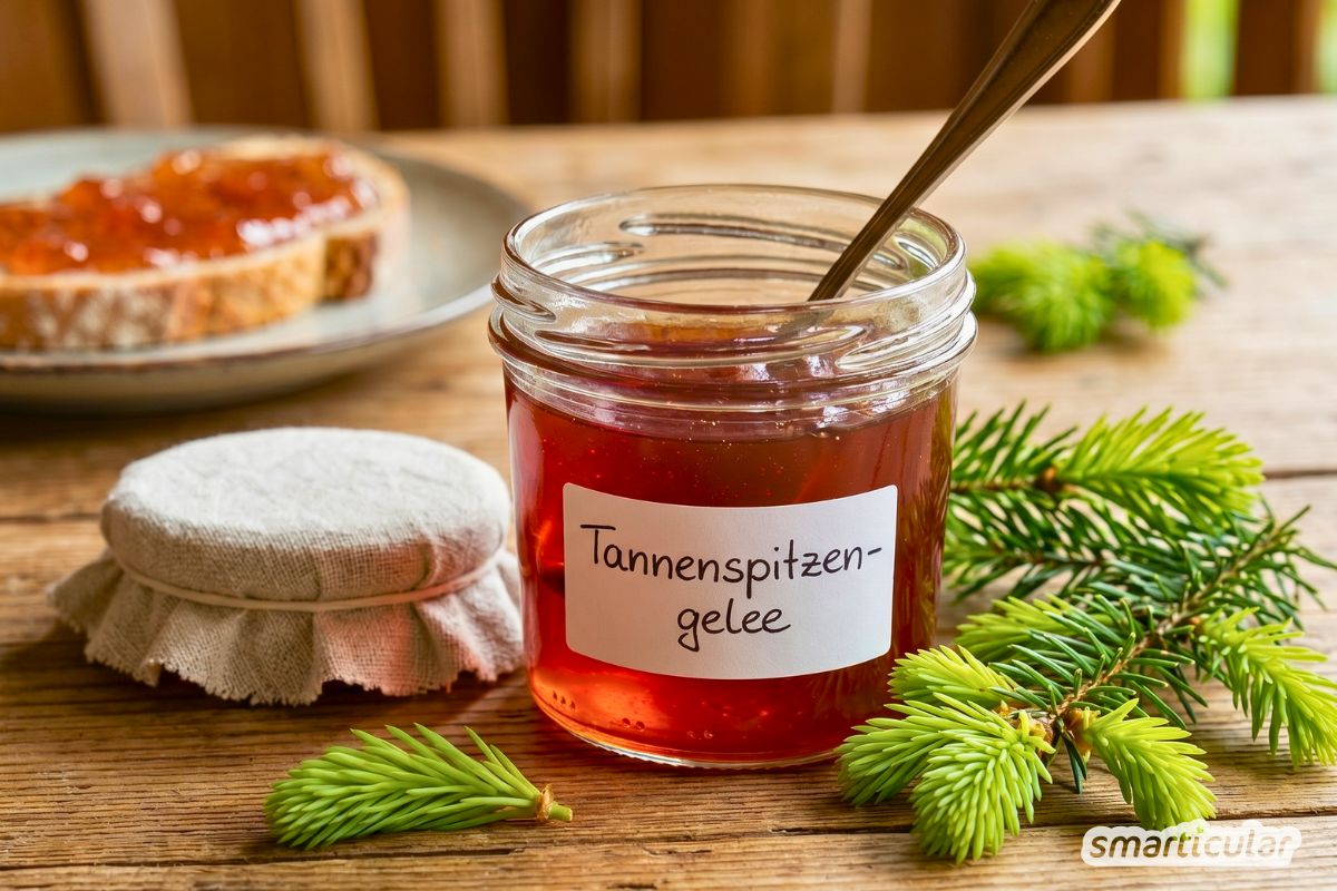 Rezept f&uuml;r Tannenspitzengelee