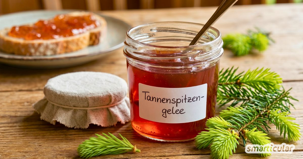 Köstliches Tannenspitzengelee einfach selber machen. Entdecke unser Schritt-für-Schritt-Rezept für den aromatischen "Waldhonig".