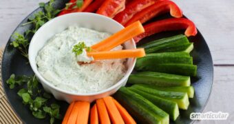 Dieser einfache Vogelmiere-Dip mit Frischkäse ist mild im Geschmack, vielseitig einsetzbar und blitzschnell zubereitet. Einfach lecker!