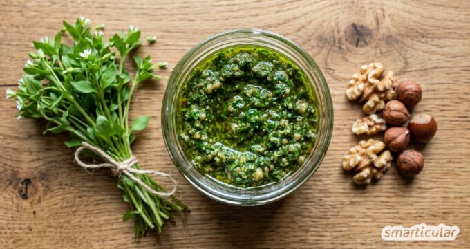 Gesundes Vogelmiere-Pesto: So zauberst du aus dem vitalstoffreichen Wildkraut ein schnelles, regionales Pesto für Pasta und Aufstriche.